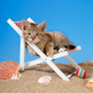 Meet your Posher, Catherine